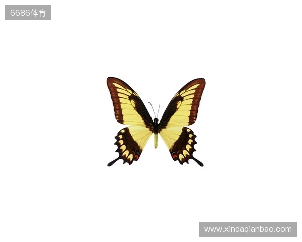 破茧成蝶:Legacy如何登顶南美、跻身世界顶尖行列