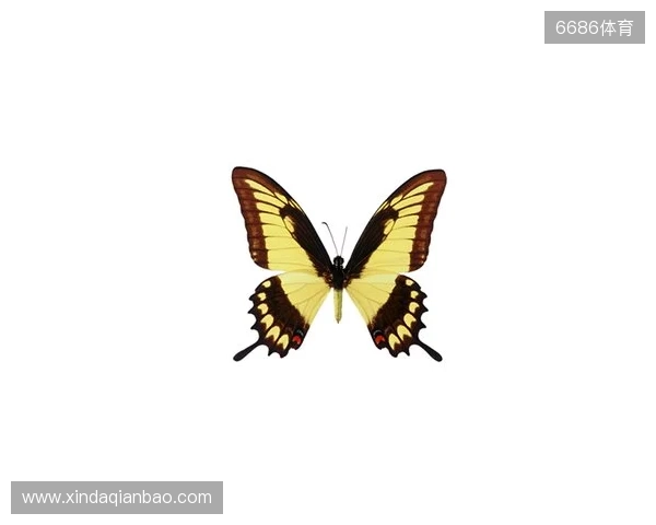 破茧成蝶:Legacy如何登顶南美、跻身世界顶尖行列 破茧成蝶:Legacy如何登顶南美、跻身世界顶尖行列